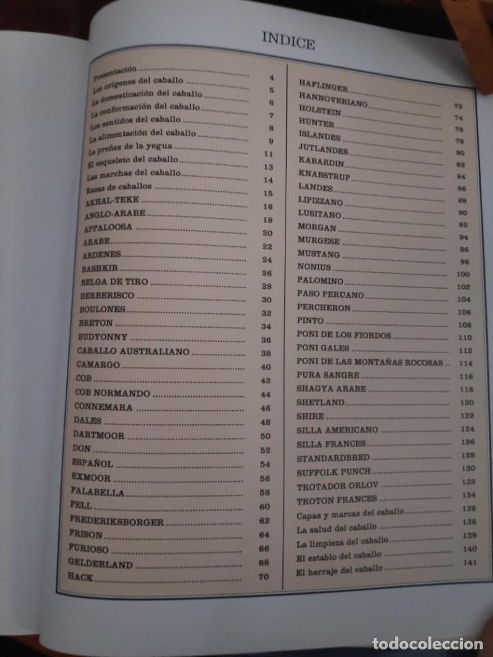 Libros de segunda mano: Caballos, razas y procedencia. Alan Rusell - Foto 11