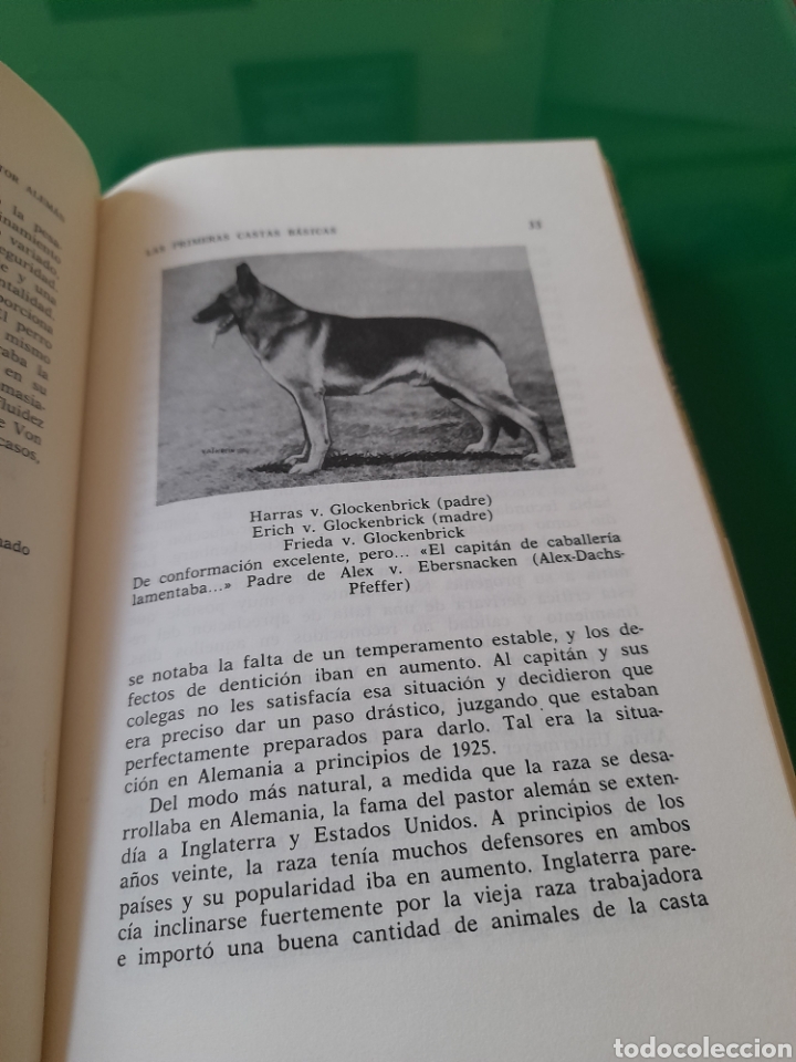 Libros de segunda mano: Todo sobre el pastor alem&aacute;n - Foto 3