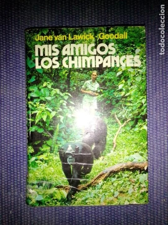 Libros de segunda mano: MIs amigos los chimpanc&eacute;s - Foto 1