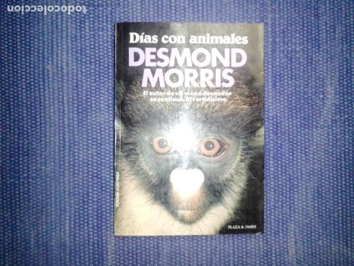 Libros de segunda mano: Morris, Desmond: D&iacute;as con animales - Foto 1