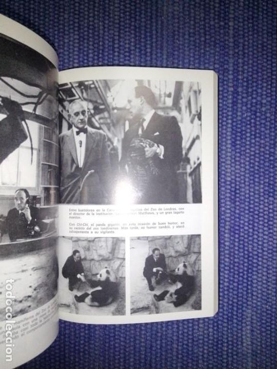 Libros de segunda mano: Morris, Desmond: D&iacute;as con animales - Foto 3