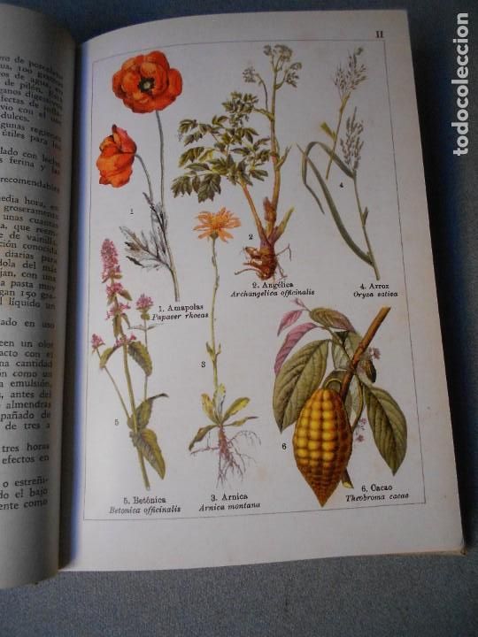 Libros de segunda mano: LAS PLANTAS BIENHECHORAS - Foto 7