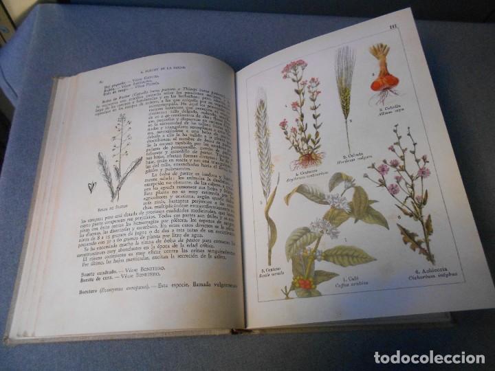 Libros de segunda mano: LAS PLANTAS BIENHECHORAS - Foto 8