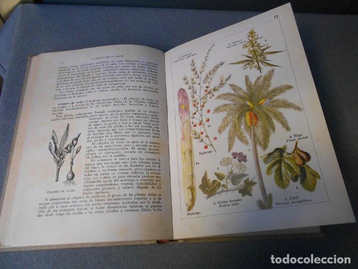 Libros de segunda mano: LAS PLANTAS BIENHECHORAS - Foto 9