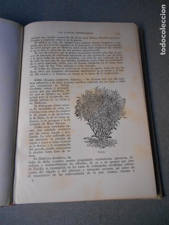 Libros de segunda mano: LAS PLANTAS BIENHECHORAS - Foto 10