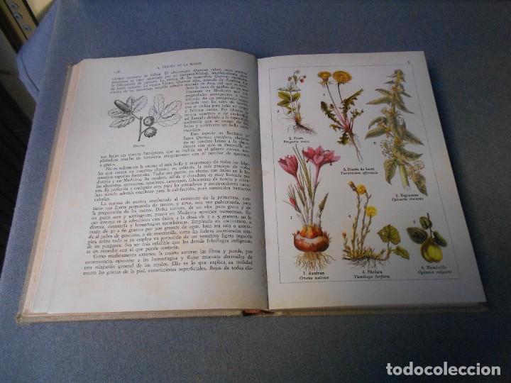 Libros de segunda mano: LAS PLANTAS BIENHECHORAS - Foto 11