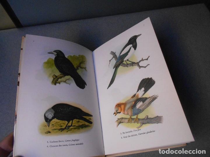 Libros de segunda mano: LES OISEAUX - PAJAROS - Foto 3
