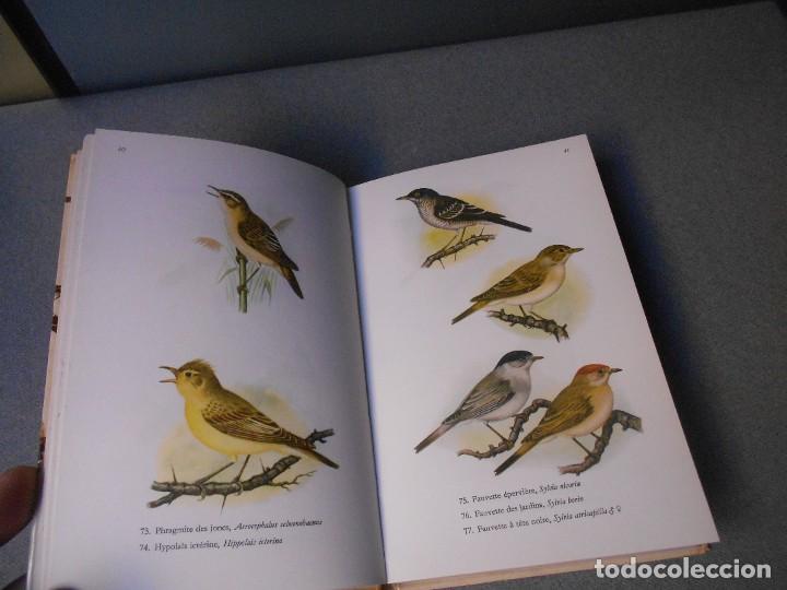 Libros de segunda mano: LES OISEAUX - PAJAROS - Foto 4