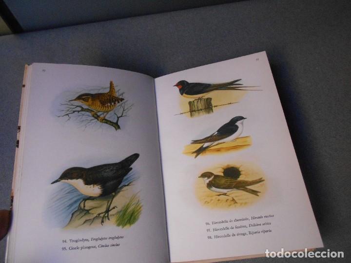 Libros de segunda mano: LES OISEAUX - PAJAROS - Foto 5