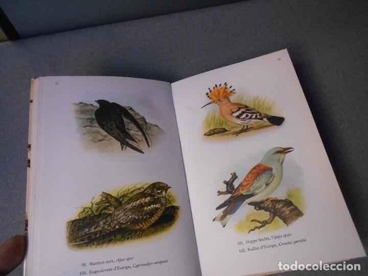 Libros de segunda mano: LES OISEAUX - PAJAROS - Foto 6