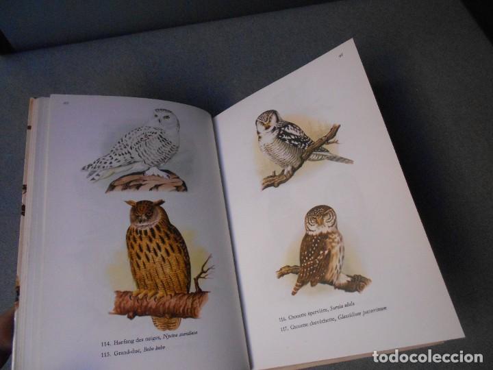 Libros de segunda mano: LES OISEAUX - PAJAROS - Foto 7