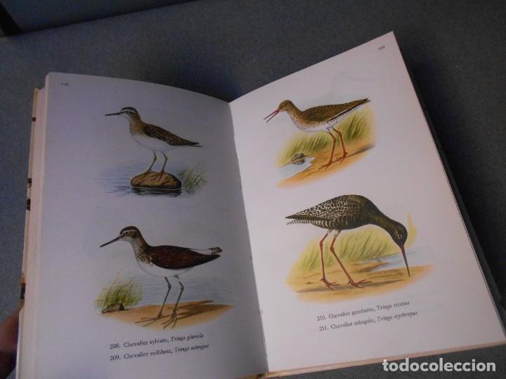 Libros de segunda mano: LES OISEAUX - PAJAROS - Foto 8