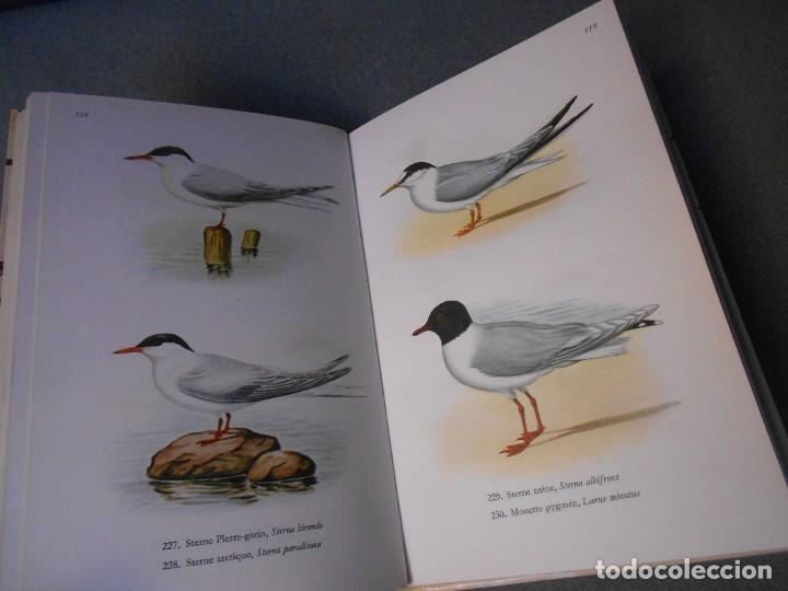 Libros de segunda mano: LES OISEAUX - PAJAROS - Foto 9