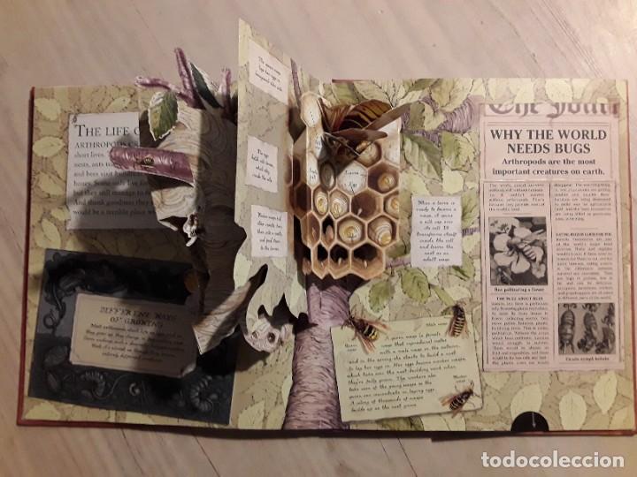 Libros de segunda mano: Insectos. Bugs. Textos en ingl&eacute;s. - Foto 2