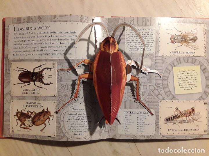 Libros de segunda mano: Insectos. Bugs. Textos en ingl&eacute;s. - Foto 4