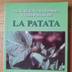 Libros de segunda mano: HORTICULTURA, LA PATATA, PLAGAS, ENFERMEDADES Y FISIOPATIAS. MIGUEL GARCIA, ED. RURALCAJA, 2007. Lote 310520898