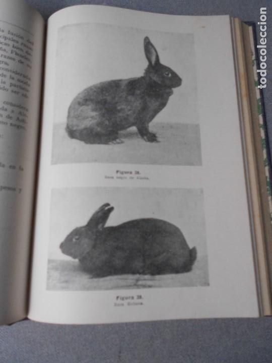 Libros de segunda mano: EL CONEJO Y SUS PRODUCTOS - Foto 4