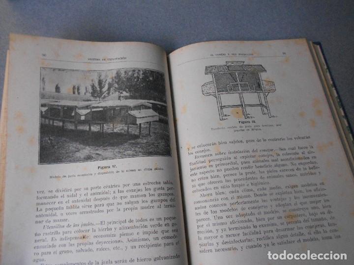 Libros de segunda mano: EL CONEJO Y SUS PRODUCTOS - Foto 6