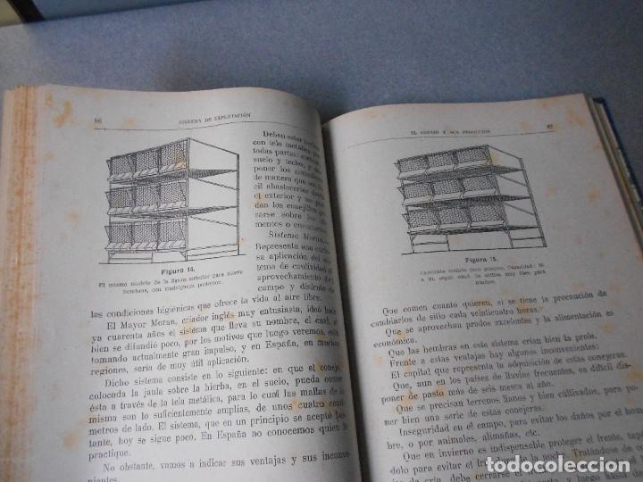 Libros de segunda mano: EL CONEJO Y SUS PRODUCTOS - Foto 7