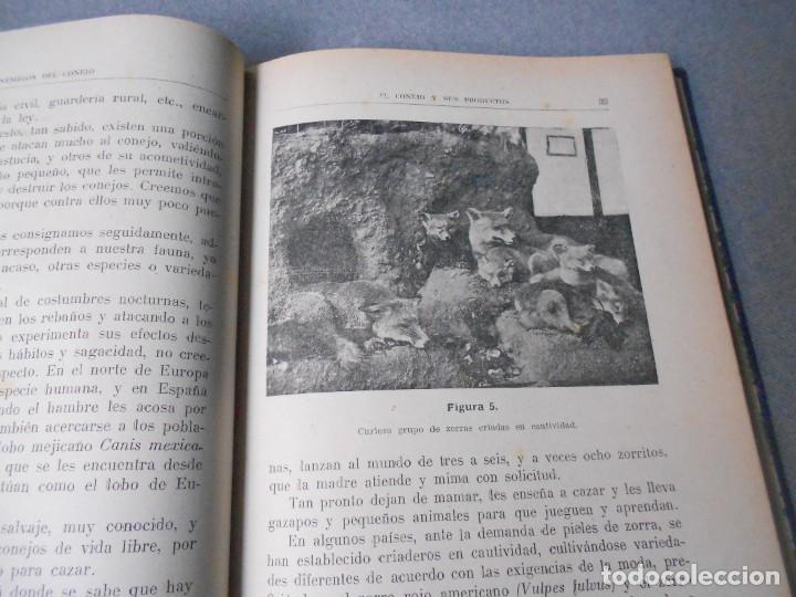 Libros de segunda mano: EL CONEJO Y SUS PRODUCTOS - Foto 8