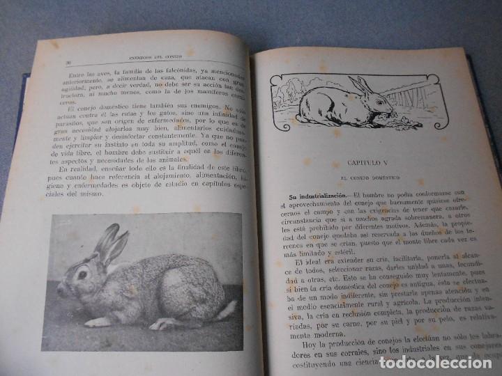 Libros de segunda mano: EL CONEJO Y SUS PRODUCTOS - Foto 9