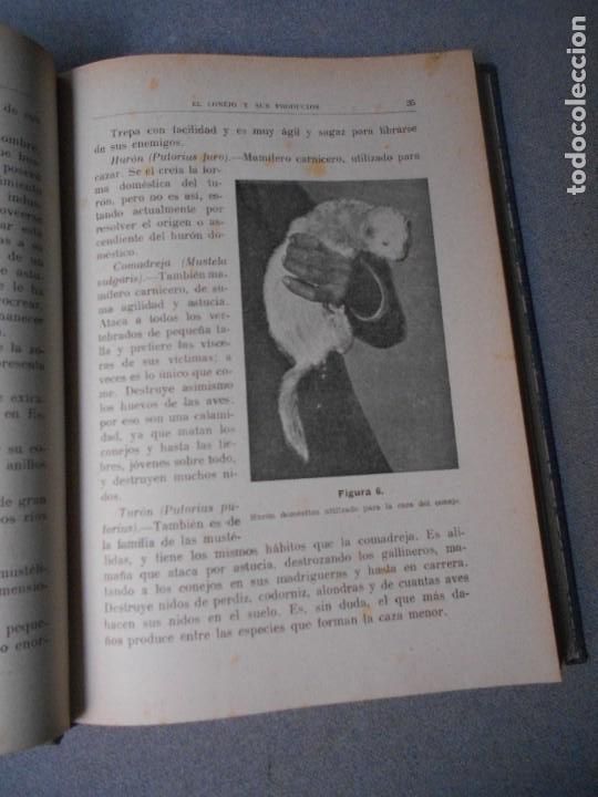 Libros de segunda mano: EL CONEJO Y SUS PRODUCTOS - Foto 10