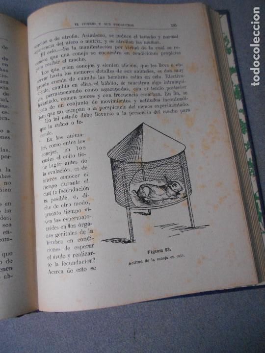 Libros de segunda mano: EL CONEJO Y SUS PRODUCTOS - Foto 11