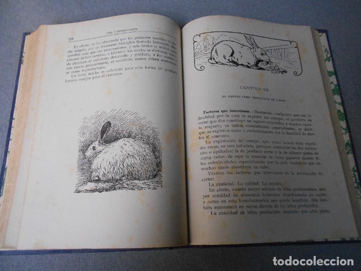 Libros de segunda mano: EL CONEJO Y SUS PRODUCTOS - Foto 12
