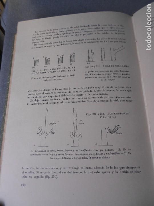 Libros de segunda mano: EL LIBRO DE LOS JARDINES - Foto 18