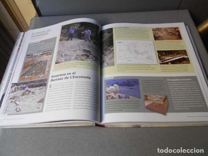 Libros de segunda mano: DINOSAURIOS DE LA PENINSULA IBERICA - Foto 11