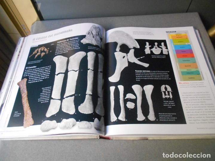 Libros de segunda mano: DINOSAURIOS DE LA PENINSULA IBERICA - Foto 12