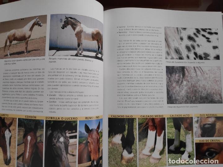 Libros de segunda mano: Manual para el cuidado del caballo Penny Swift - Foto 6