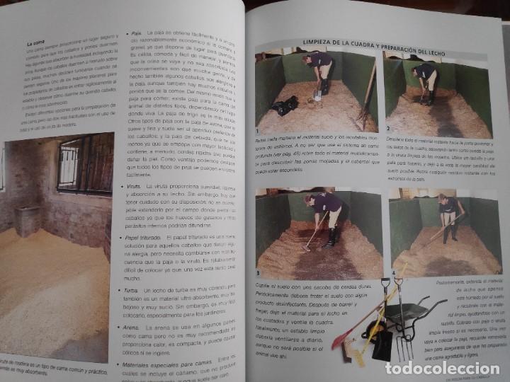 Libros de segunda mano: Manual para el cuidado del caballo Penny Swift - Foto 7