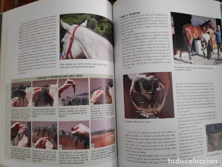 Libros de segunda mano: Manual para el cuidado del caballo Penny Swift - Foto 8