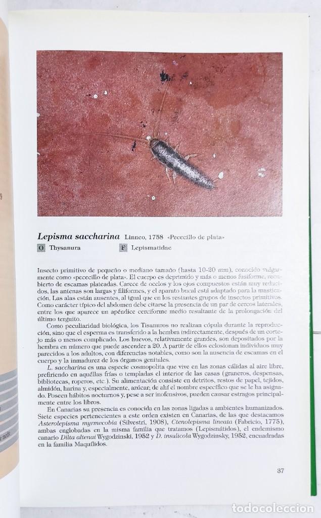 Libros de segunda mano: VV.AA. INSECTOS DE CANARIAS. 1992. - Foto 4