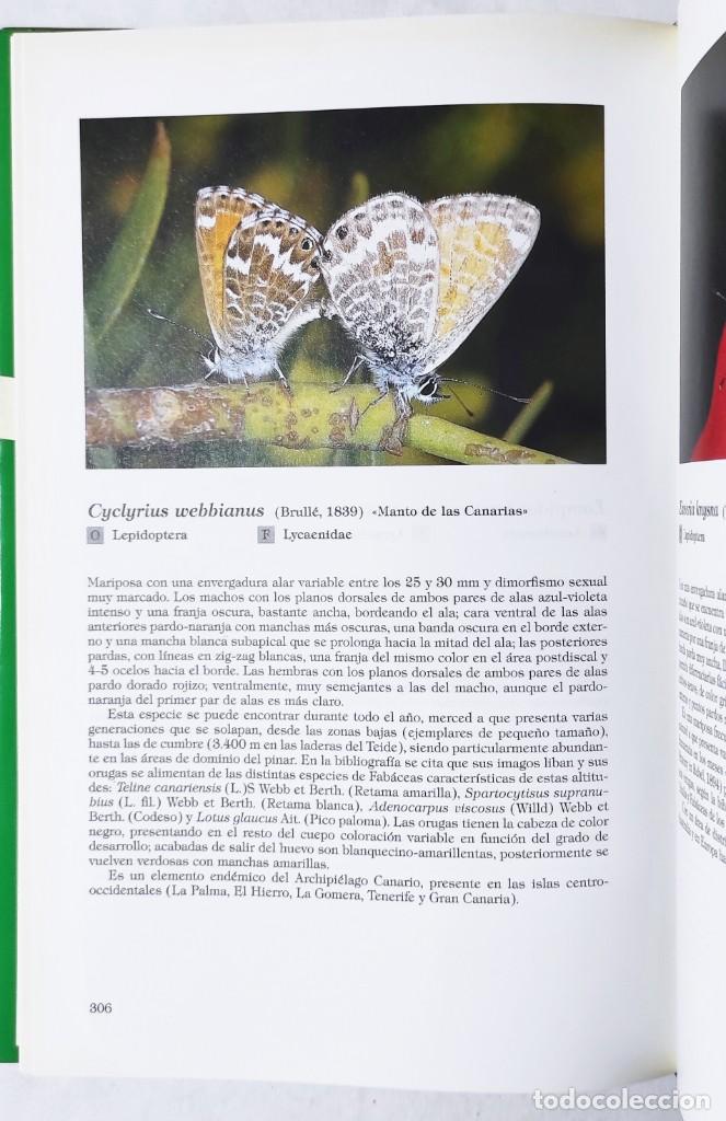 Libros de segunda mano: VV.AA. INSECTOS DE CANARIAS. 1992. - Foto 5