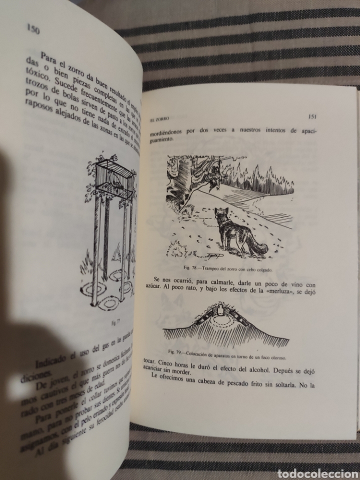 Libros de segunda mano: CAZA DE ALIMA&Ntilde;AS. J. ESPA&Ntilde;A PAY&Aacute;. - Foto 2