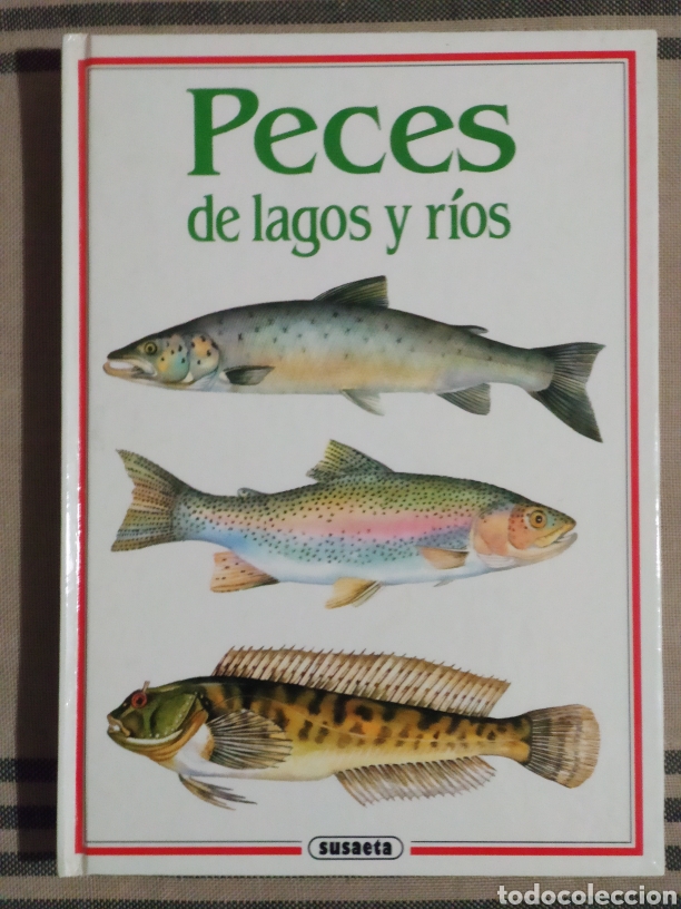 Libros de segunda mano: PECES DE LAGOS Y R&Iacute;OS. SUSAETA EDITORIAL. - Foto 1
