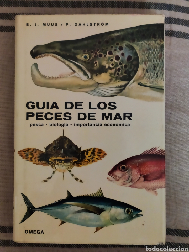 Libros de segunda mano: GU&Iacute;A DE LOS PECES DE MAR. MUUS / DAHLSTR&Ouml;M. OMEGA. - Foto 1