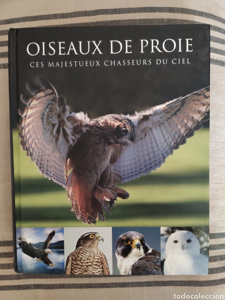 Libros de segunda mano: OISEAUX DE PROIE. PAUL D. FROST. PARRAGON. - Foto 1