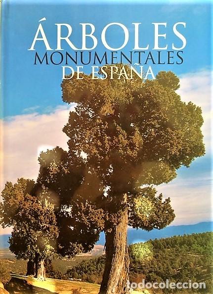 Libros de segunda mano: ARBOLES MONUMENTALES DE ESPA&Ntilde;A - Foto 1