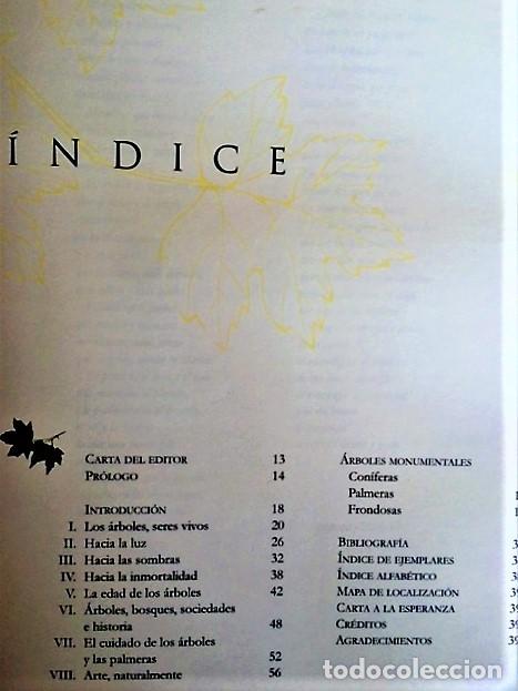 Libros de segunda mano: ARBOLES MONUMENTALES DE ESPA&Ntilde;A - Foto 2