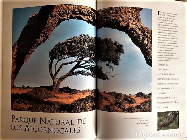 Libros de segunda mano: ARBOLES MONUMENTALES DE ESPA&Ntilde;A - Foto 3