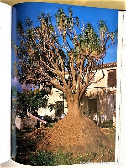 Libros de segunda mano: ARBOLES MONUMENTALES DE ESPA&Ntilde;A - Foto 6
