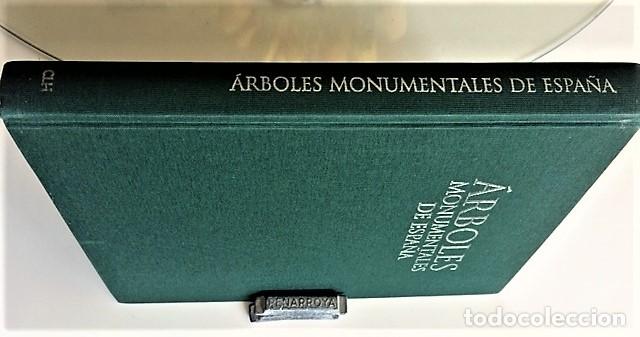 Libros de segunda mano: ARBOLES MONUMENTALES DE ESPA&Ntilde;A - Foto 7