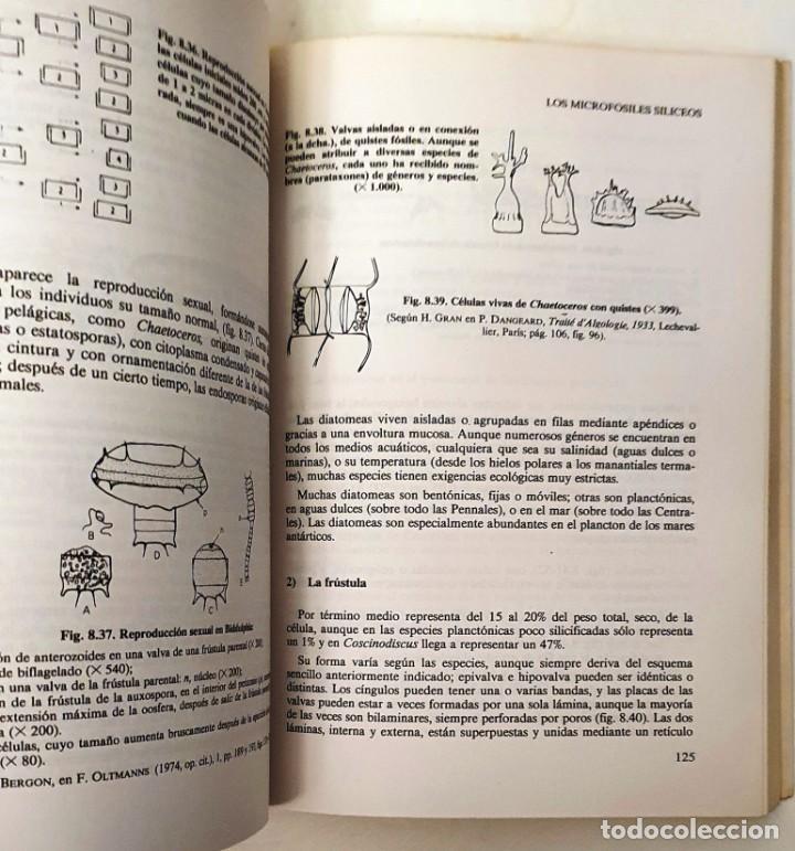 Libros de segunda mano: LOS MICROFOSILES. GERARD BIGNOT. PARANINFO 1988. 284 PAGINAS. - Foto 3