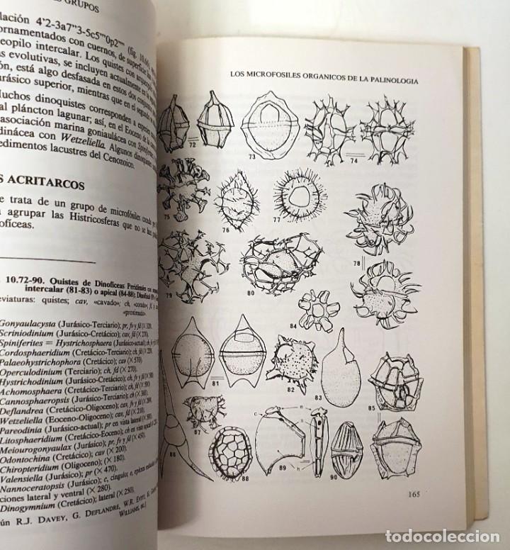Libros de segunda mano: LOS MICROFOSILES. GERARD BIGNOT. PARANINFO 1988. 284 PAGINAS. - Foto 4