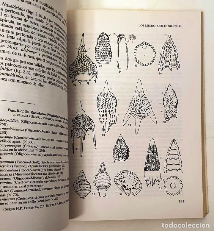 Libros de segunda mano: LOS MICROFOSILES. GERARD BIGNOT. PARANINFO 1988. 284 PAGINAS. - Foto 5