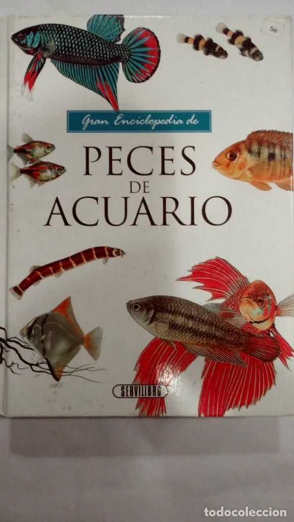 Libros de segunda mano: Gran enciclopedia de Peces de Acuario - Foto 1