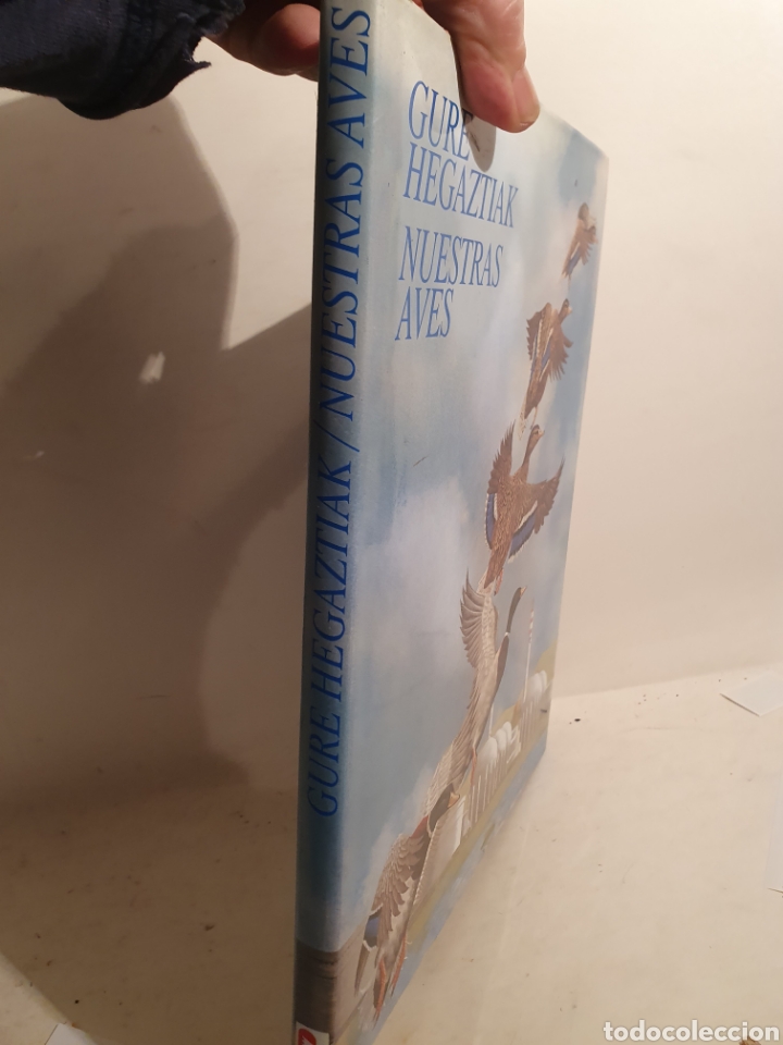 Libros de segunda mano: GURE HEGASTIAK. NUESTRAS AVES. PETRONOR, 3&deg;EDICI&Oacute;N A&Ntilde;O 2000 - Foto 2
